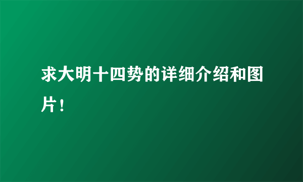 求大明十四势的详细介绍和图片！