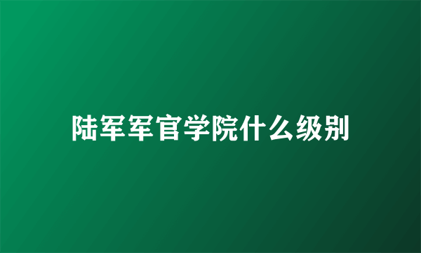 陆军军官学院什么级别