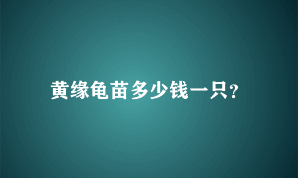 黄缘龟苗多少钱一只？