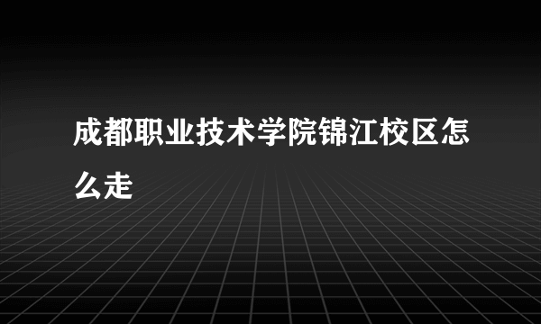 成都职业技术学院锦江校区怎么走