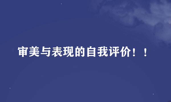 审美与表现的自我评价！！