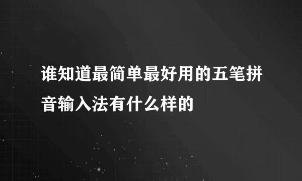 谁知道最简单最好用的五笔拼音输入法有什么样的