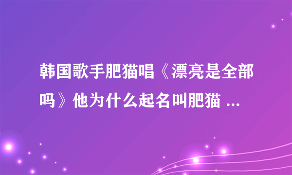 韩国歌手肥猫唱《漂亮是全部吗》他为什么起名叫肥猫 叫肥猫的原因有人知道吗