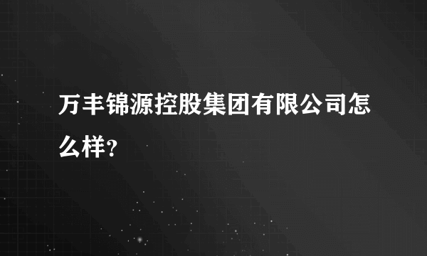 万丰锦源控股集团有限公司怎么样？