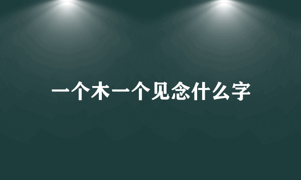 一个木一个见念什么字