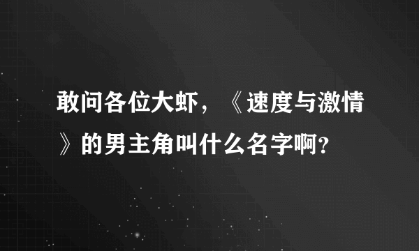 敢问各位大虾，《速度与激情》的男主角叫什么名字啊？