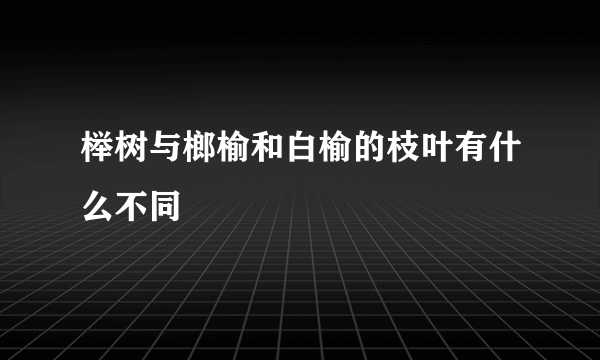 榉树与榔榆和白榆的枝叶有什么不同