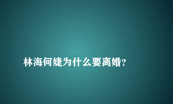 
林海何婕为什么要离婚？

