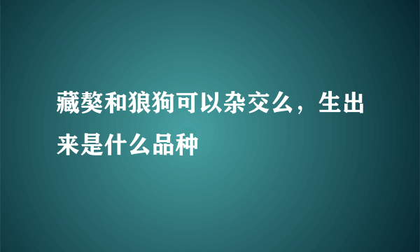 藏獒和狼狗可以杂交么，生出来是什么品种