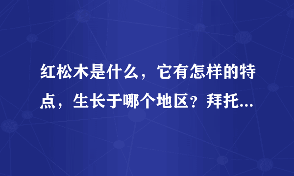 红松木是什么，它有怎样的特点，生长于哪个地区？拜托各位大神