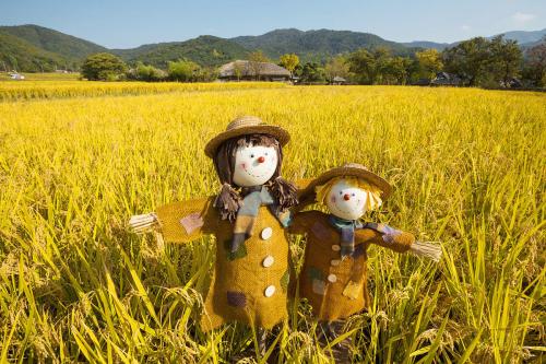 稻草人这本书里面的内容