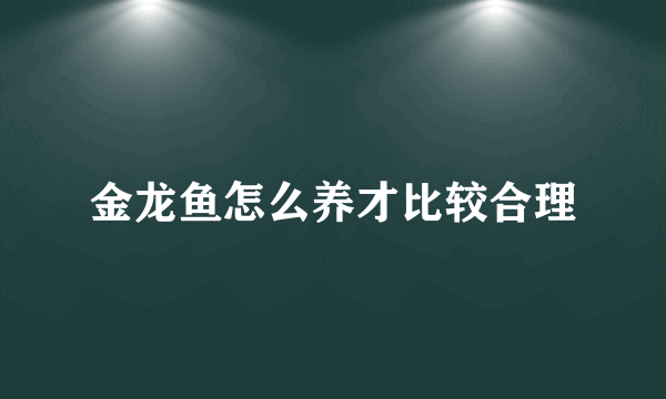 金龙鱼怎么养才比较合理