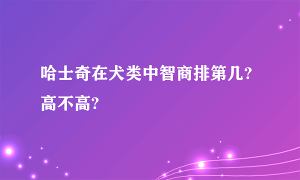 哈士奇在犬类中智商排第几?高不高?