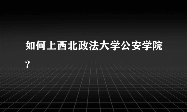 如何上西北政法大学公安学院?