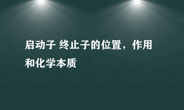 启动子 终止子的位置，作用和化学本质