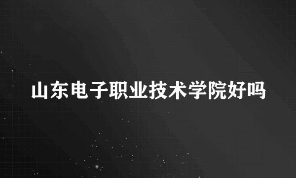 山东电子职业技术学院好吗