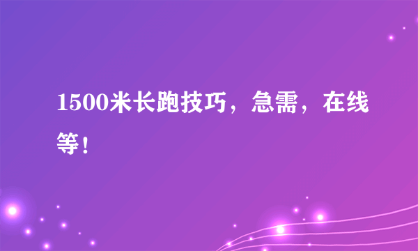 1500米长跑技巧，急需，在线等！