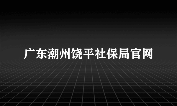 广东潮州饶平社保局官网