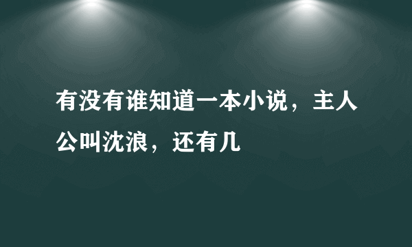 有没有谁知道一本小说，主人公叫沈浪，还有几