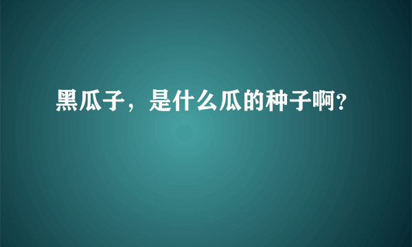 黑瓜子，是什么瓜的种子啊？