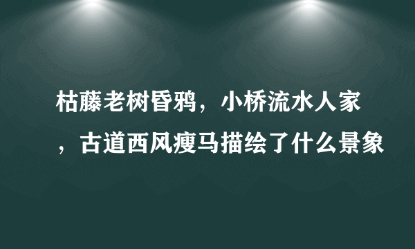 枯藤老树昏鸦，小桥流水人家，古道西风瘦马描绘了什么景象