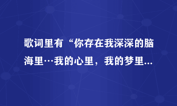 歌词里有“你存在我深深的脑海里…我的心里，我的梦里”这几句的歌名是什么啊？