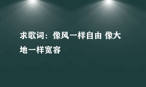 求歌词：像风一样自由 像大地一样宽容