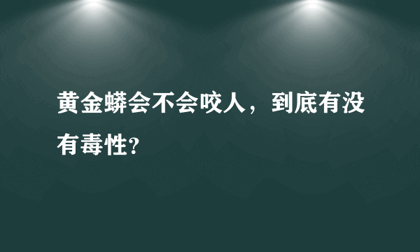 黄金蟒会不会咬人，到底有没有毒性？