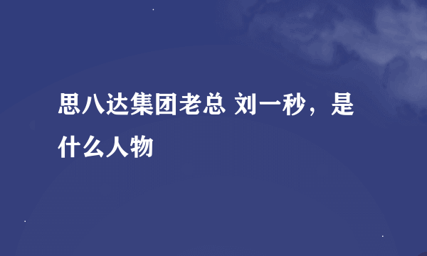 思八达集团老总 刘一秒，是什么人物