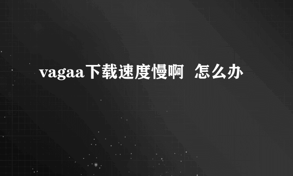 vagaa下载速度慢啊  怎么办