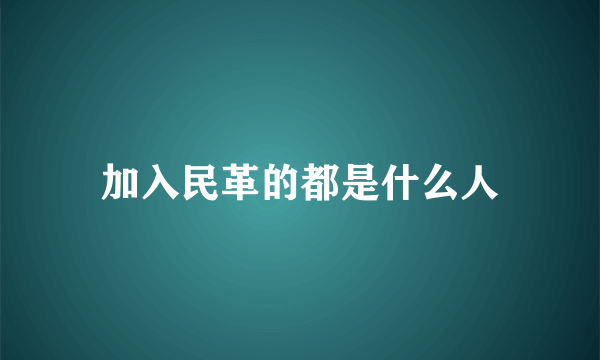 加入民革的都是什么人