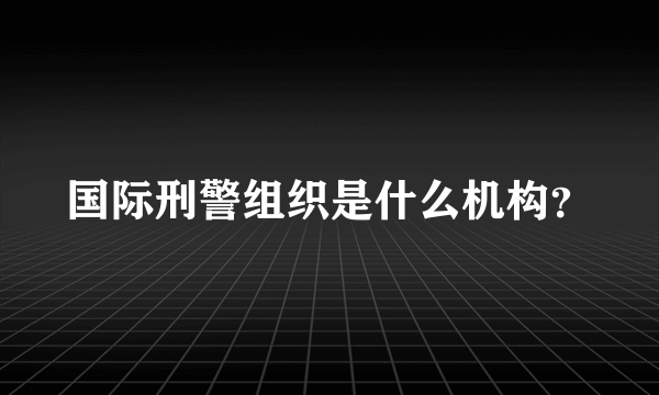 国际刑警组织是什么机构？