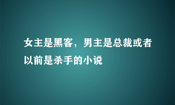 女主是黑客，男主是总裁或者以前是杀手的小说