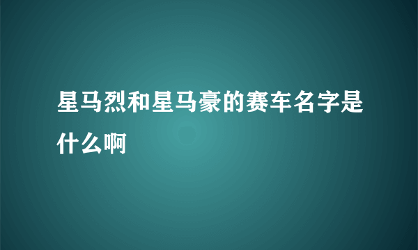 星马烈和星马豪的赛车名字是什么啊