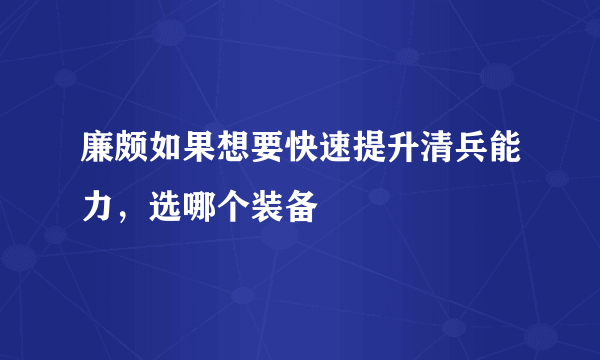 廉颇如果想要快速提升清兵能力，选哪个装备