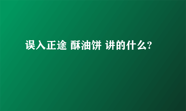 误入正途 酥油饼 讲的什么?