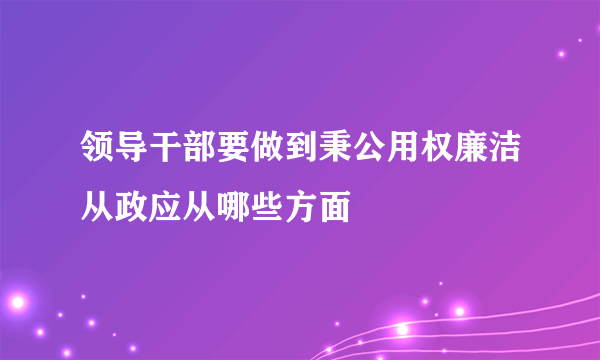 领导干部要做到秉公用权廉洁从政应从哪些方面