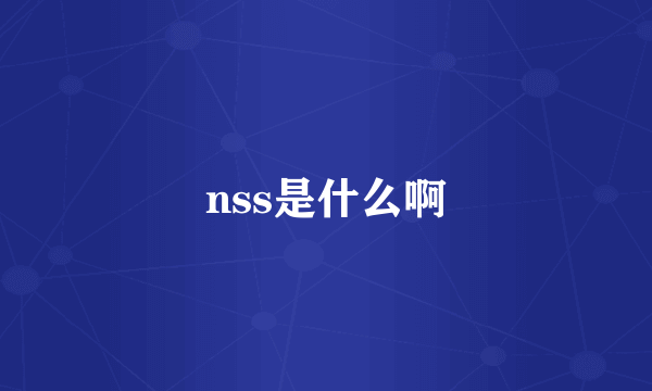 nss是什么啊