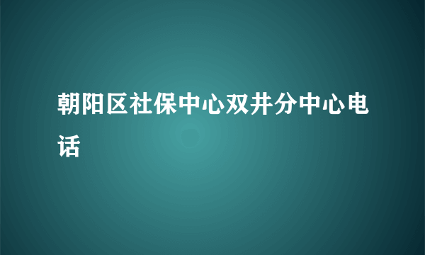 朝阳区社保中心双井分中心电话