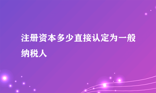 注册资本多少直接认定为一般纳税人