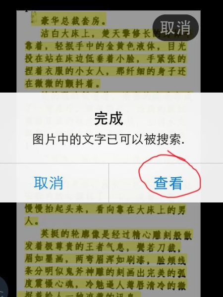 苹果手机怎么扫描文件变成文字