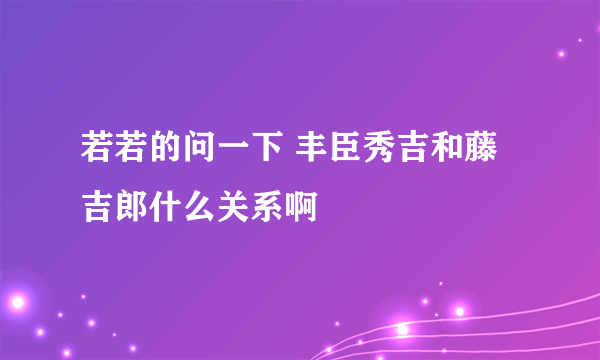 若若的问一下 丰臣秀吉和藤吉郎什么关系啊