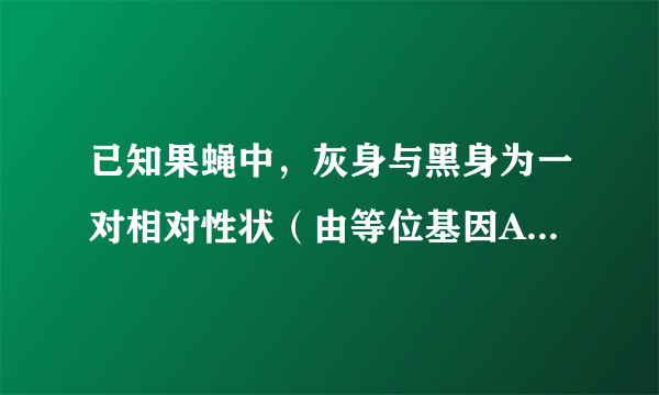 已知果蝇中，灰身与黑身为一对相对性状（由等位基因A、a控制）、直毛与分叉毛为一对相对性状（由等位基因