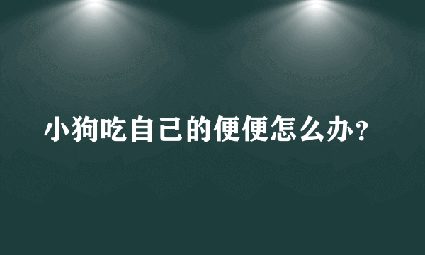 小狗吃自己的便便怎么办？