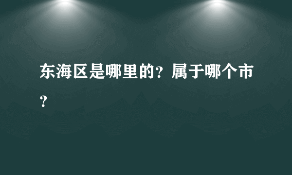 东海区是哪里的？属于哪个市？