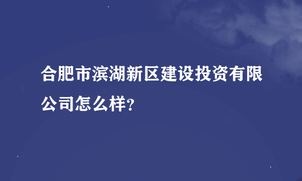 合肥市滨湖新区建设投资有限公司怎么样？