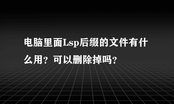 电脑里面Lsp后缀的文件有什么用？可以删除掉吗？