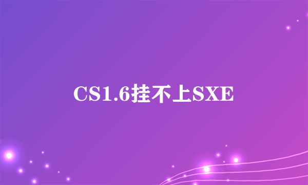 CS1.6挂不上SXE