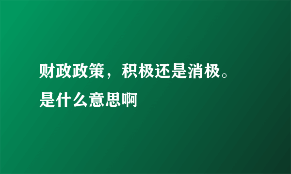 财政政策，积极还是消极。 是什么意思啊