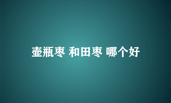 壶瓶枣 和田枣 哪个好